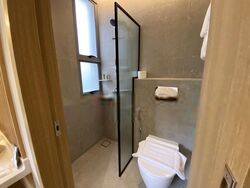 Mount Elizabeth Link (D9), Condominium #572933791